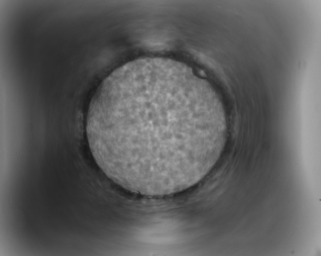 X0000089721301200707201812