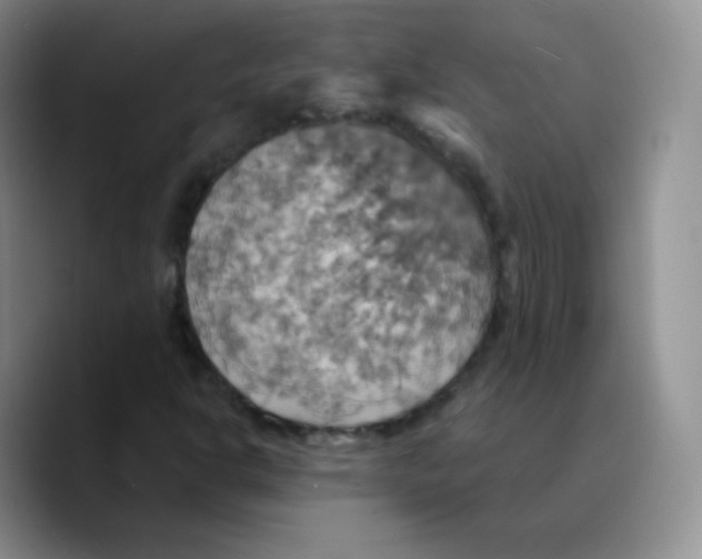 X0000089721302200707201812