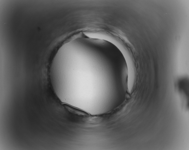 X0000089721304200707201812