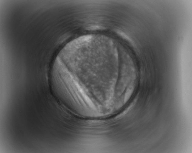 X0000089721305200707201812