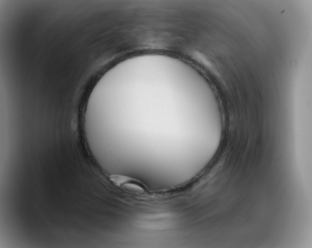 X0000089721307200707201812