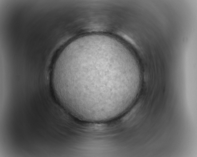X0000089721309200707201812