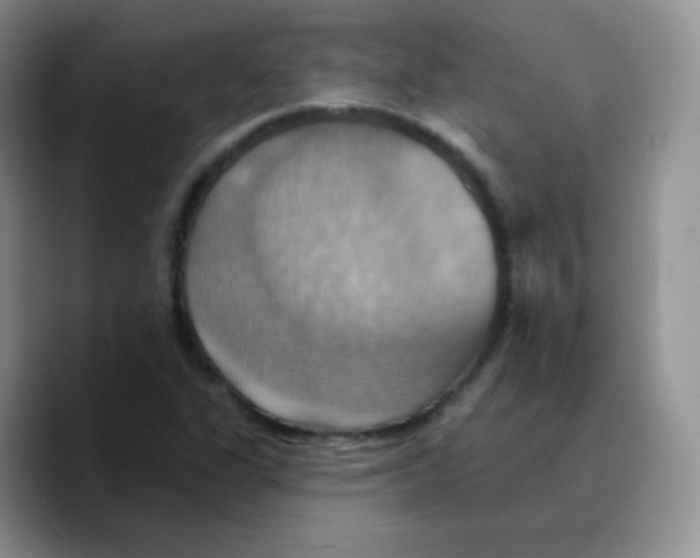 X0000089721311200707201813
