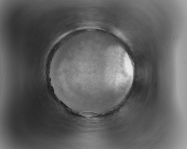 X0000089721312200707201813