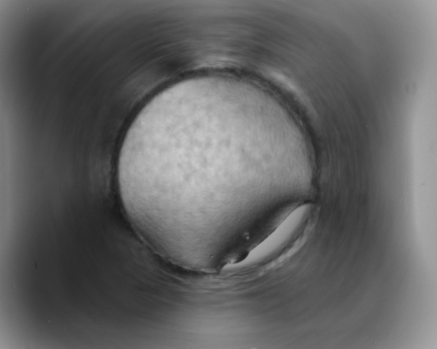 X0000089721313200707201813