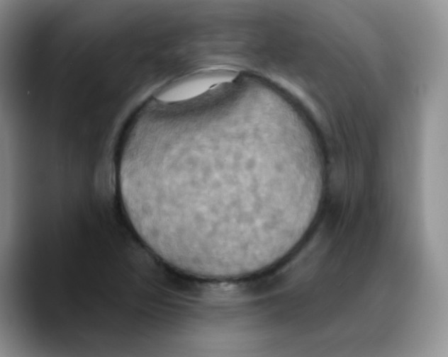 X0000089721317200707201813