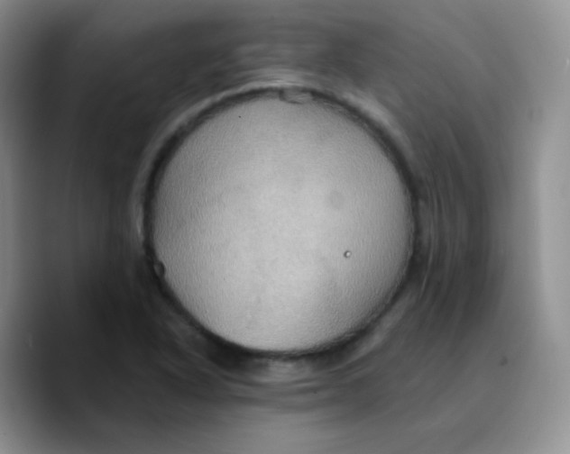 X0000089721318200707201813