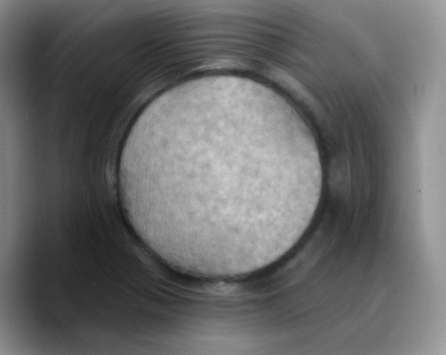 X0000089721321200707201813