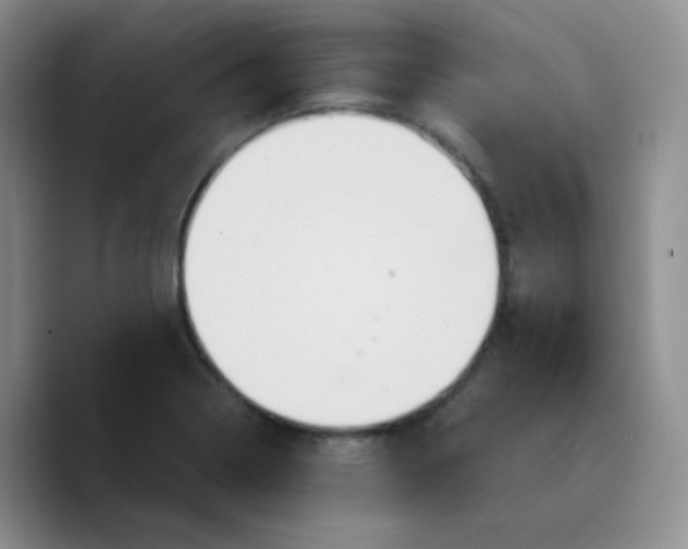 X0000089721322200707201813