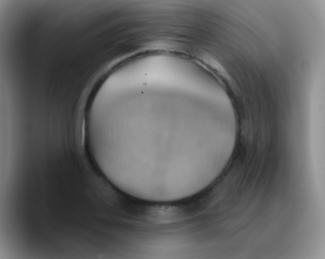 X0000089721323200707201813