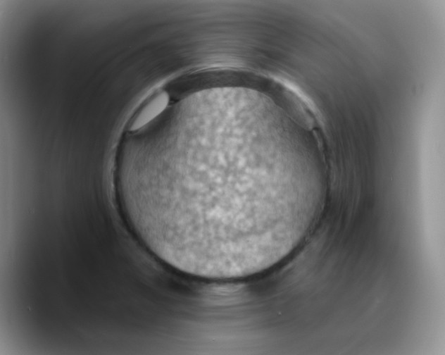 X0000089721325200707201813