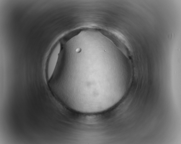 X0000089721326200707201813