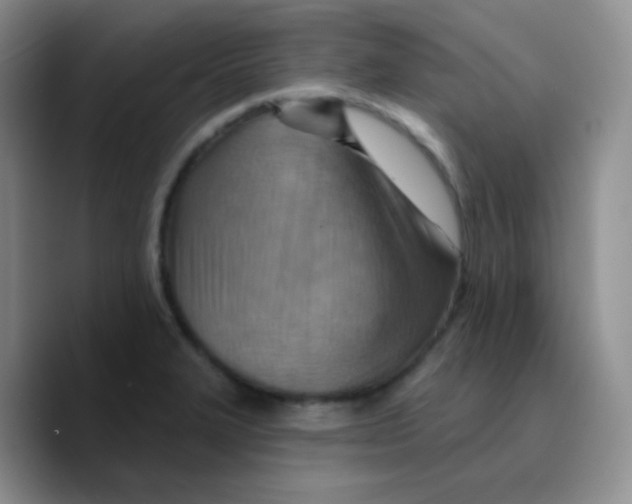 X0000089721327200707201813