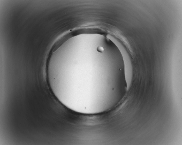 X0000089721328200707201813