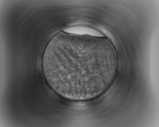 X0000089721329200707201813