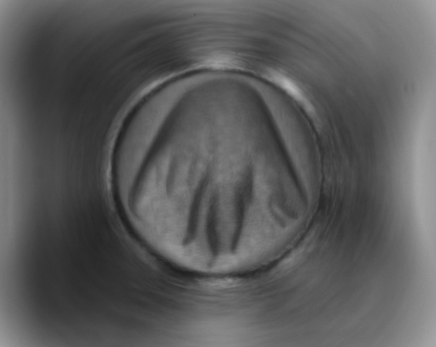 X0000089721331200707201813