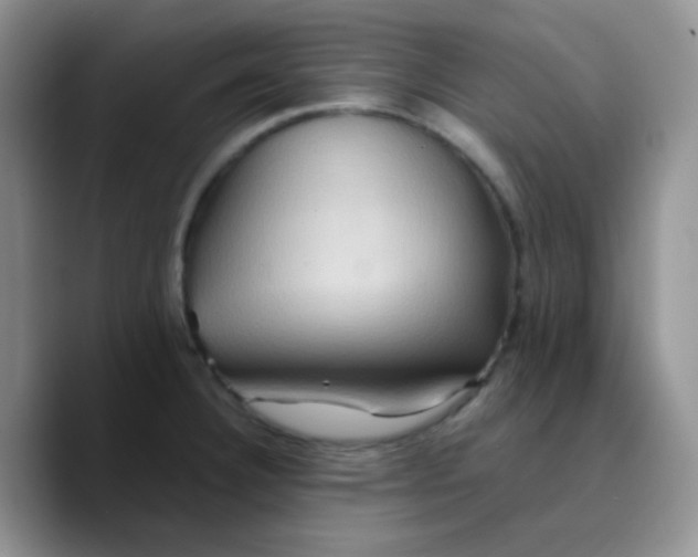 X0000089721332200707201813
