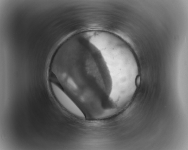 X0000089721333200707201813