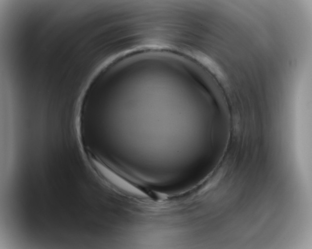 X0000089721334200707201813