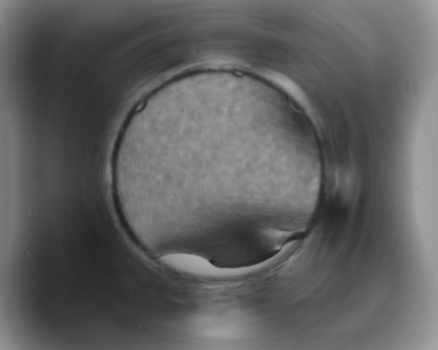 X0000089721335200707201813