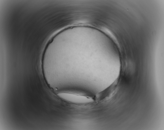 X0000089721336200707201813