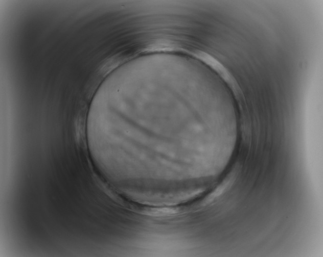 X0000089721337200707201813