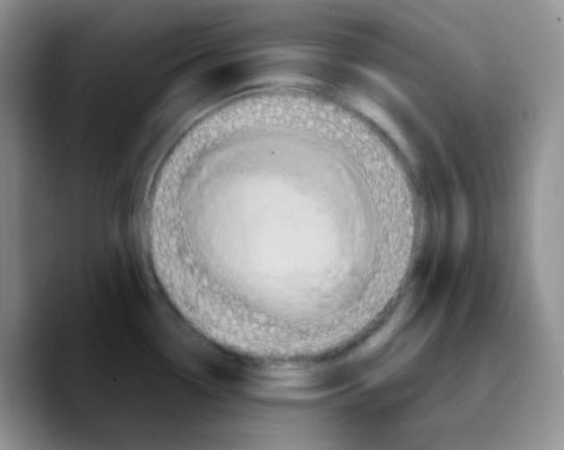 X0000089721338200707201813