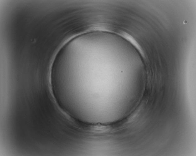 X0000089721339200707201813