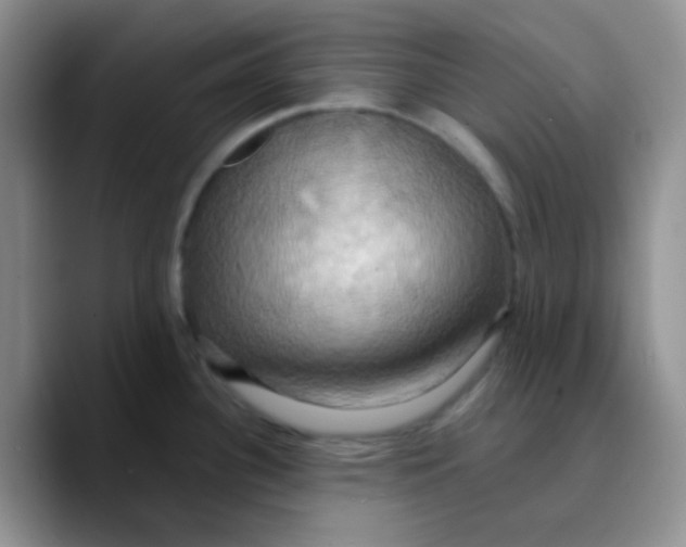 X0000089721340200707201813