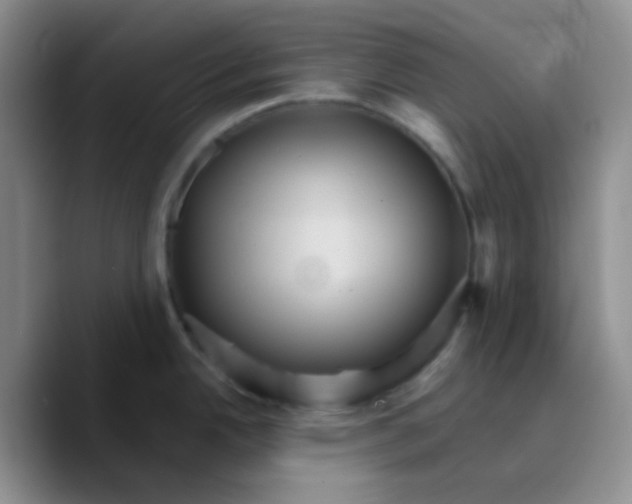 X0000089721342200707201813