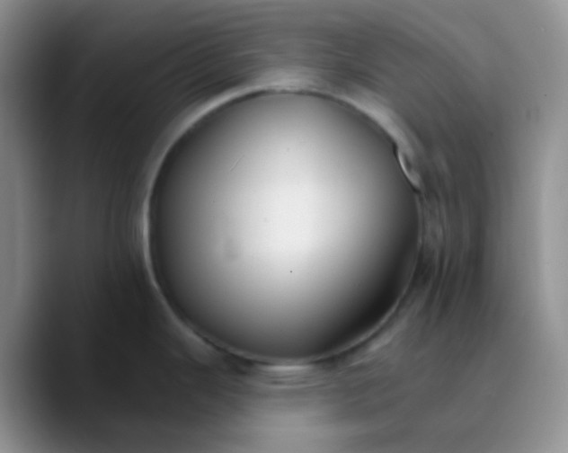 X0000089721343200707201813