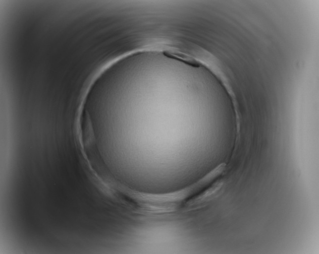 X0000089721344200707201813