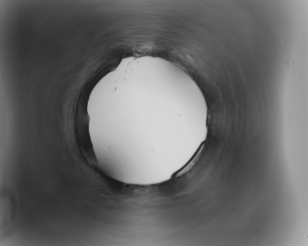 X0000089721345200707201812