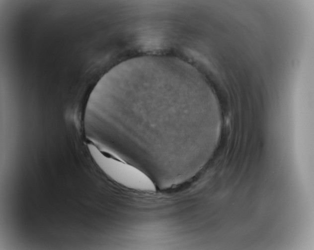 X0000089721348200707201812