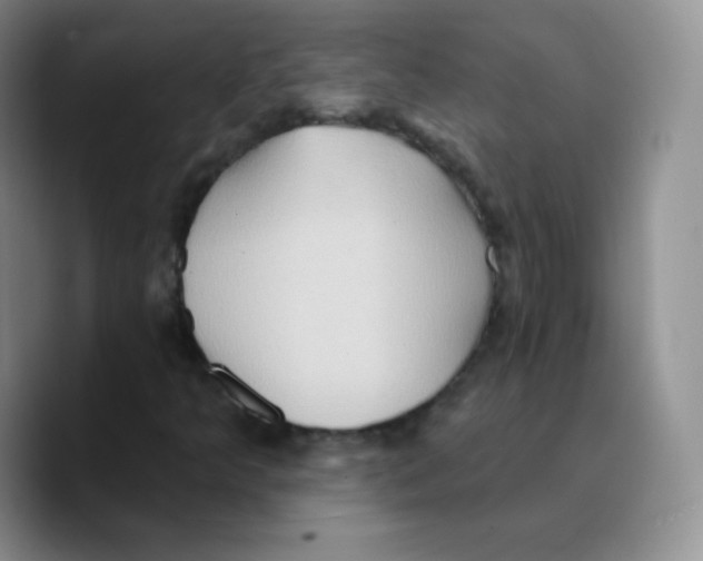 X0000089721349200707201812