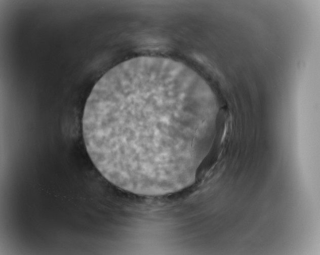 X0000089721350200707201812