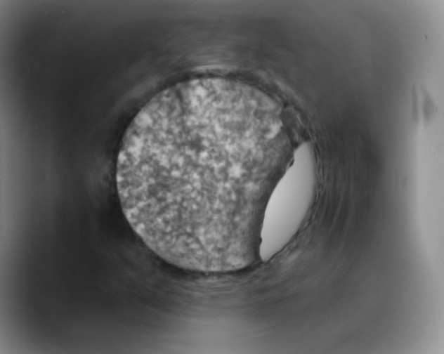 X0000089721351200707201812