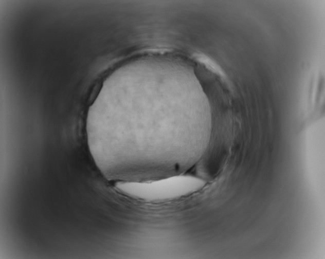 X0000089721352200707201812