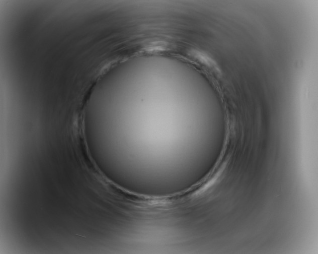 X0000089721353200707201812