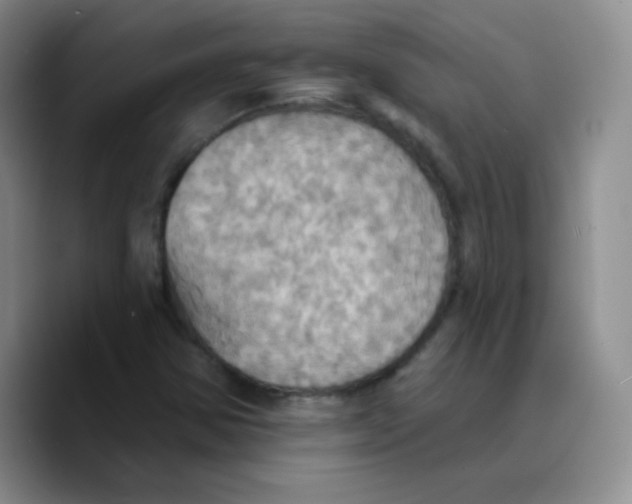 X0000089721354200707201812