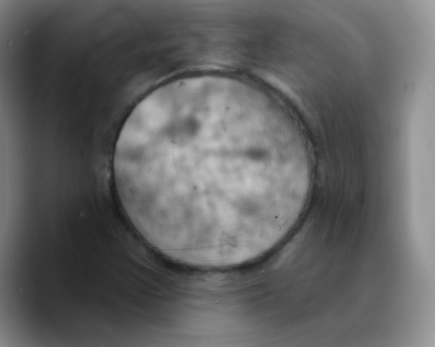 X0000089721355200707201812