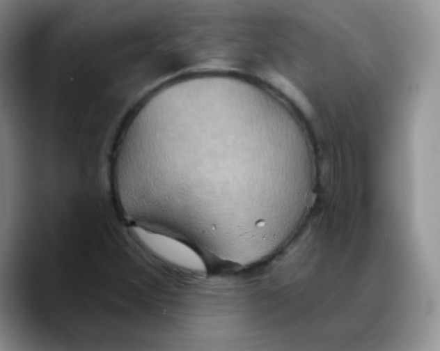 X0000089721356200707201812