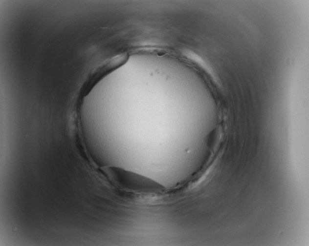 X0000089721357200707201812