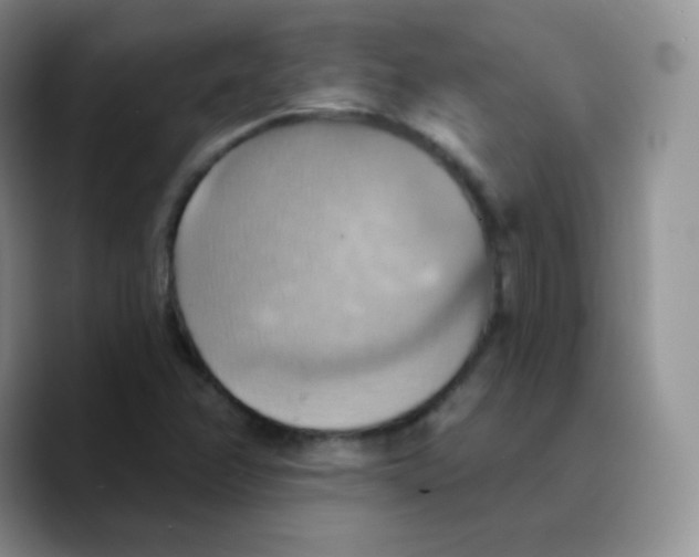 X0000089721358200707201812