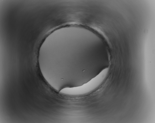 X0000089721359200707201812