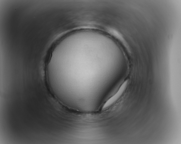 X0000089721360200707201812