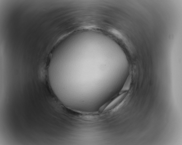 X0000089721361200707201812