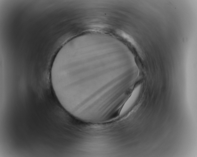 X0000089721362200707201812