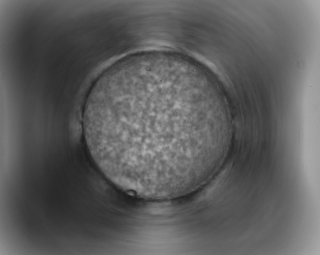 X0000089721363200707201812