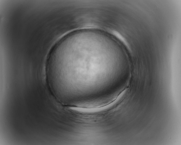 X0000089721364200707201812